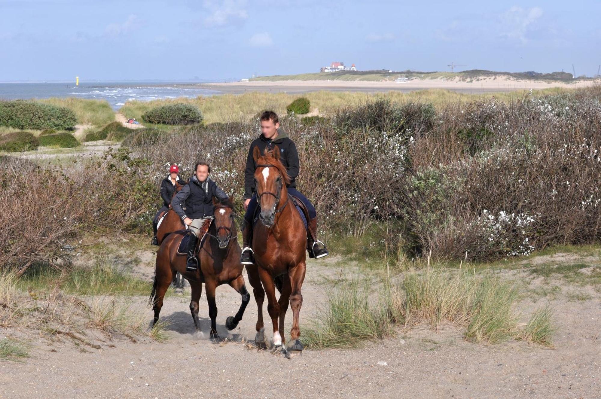 B&B Aquavit Knokke-Heist Ngoại thất bức ảnh